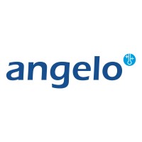 Angelo Køleteknik A/S logo - Similar company to Newsec Advisory Aarhus