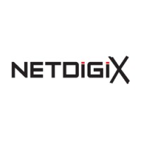Netdigix Systems Inc logo - Similar company to Ceifa It Services
