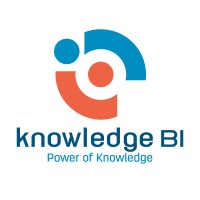 Knowledge BI logo - Similar company to Perfect-Tech