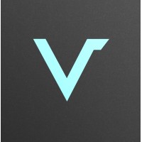 Venak Security logo - Similar company to Middleware Mash-Up