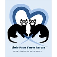 Little Paws Ferret Rescue logo - Similar company to Furry Inc