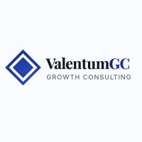 Valentum Growth Consulting logo - Similar company to Roi Studio