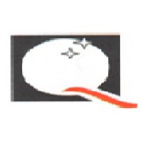 QUALITY AUTO COMPONENTS PRIVATE LIMITED logo - Similar company to Mechatronic Engineering