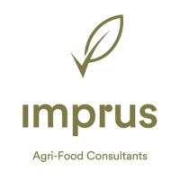 IMPRUS Consulting logo - Similar company to Qualiment