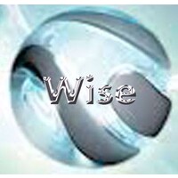 Wisetech Solutions logo - Similar company to Wise Tech Solutions