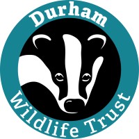 Durham Wildlife Trust logo - Similar company to Harmony Project