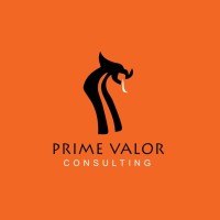 Prime Valor Consulting logo - Similar company to High Performance Consulting