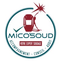 MICO'SOUD logo - Similar company to Esus Solutions