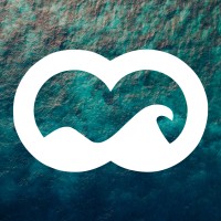 Pro Ocean logo - Similar company to Credo Technology Group, Llc