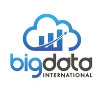 Big Data International logo - Similar company to Revseed