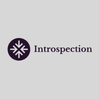 Introspection Consulting logo - Similar company to Phantom Digital
