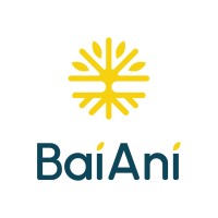 BaiAni Foundation logo - Similar company to Baianí Chocolates
