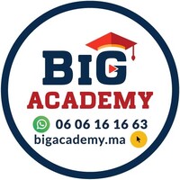 Big Academy - Centre de Formation Agadir logo - Similar company to Etacube Tech