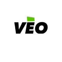 VéO S.A logo - Similar company to Kora Security Sa
