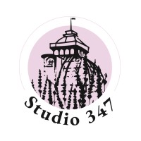 Studio 347 logo - Similar company to Studio Interakcja