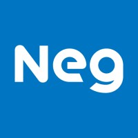 Nippon Electric Glass / NEG logo - Similar company to Forest Press Hydraulics