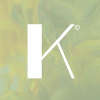 kanvaz.kollektive logo - Similar company to Kanvaz Studio