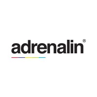 Adrenalin Esystems Ltd