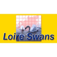 LOIRE SWANS logo - Similar company to Solteam Opto, Inc.