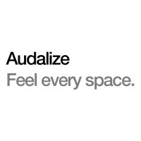 Audalize logo - Similar company to Bitwitz