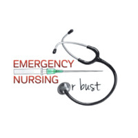 Emergency Nursing or Bust, LLC logo - Similar company to Carematic