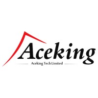 Aceking Group logo - Similar company to Even Solutions