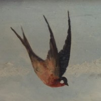 Bedrock and Blueberries logo - Similar company to American Blueberries Llc