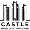 Castle Management Consulting logo - Similar company to Ernise Cummings Llc