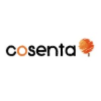 Cosenta LLC logo - Similar company to Edgewater Consulting