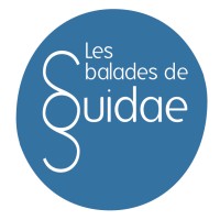 Guidae