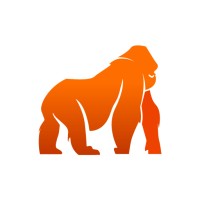 STEL Solutions logo - Similar company to Murciadev