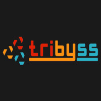 Tribyss App Solutions Private Limited logo - Similar company to Developer Team Next Olive