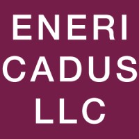 ENERICADUS, LLC logo - Similar company to Iresq