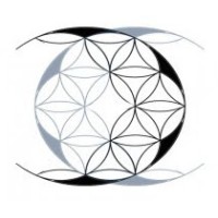Maximum Group logo - Similar company to Maximum Group Digital