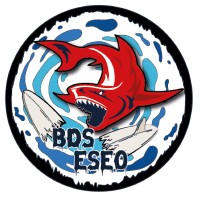 BDS ESEO ANGERS - BlooDy Sharks logo - Similar company to Sono Eseo
