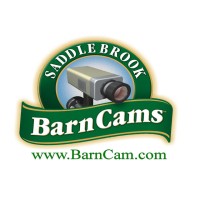 Saddlebrook Barncams Llc