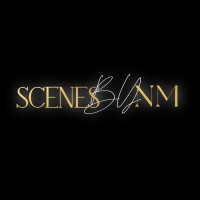 Scenes By NM Events logo - Similar company to Eco Stylish