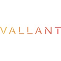 Vallant logo - Similar company to Diverse Effect