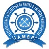 IAMSP Academy logo - Similar company to Fullstack Academy