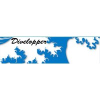 Divelopper logo - Similar company to Isocel E.Leclerc