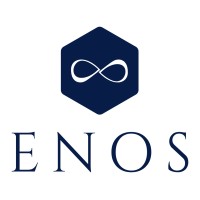 ENOS logo - Similar company to Enos Consulting Group