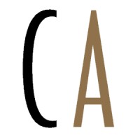 CustomsAudit logo - Similar company to Boyar