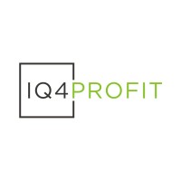IQ4Profit logo - Similar company to Buildpoint Usa