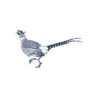 The Prefecture logo - Similar company to Axis Machines Pte Ltd