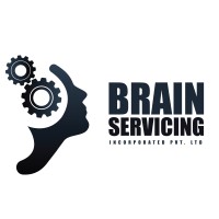 Brainservicing Inc. logo - Similar company to Chiptech