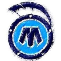 MINERVA FF z.s. logo - Similar company to Sokol Hostouň, Z. S.