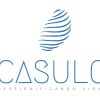 Casulo cf logo - Similar company to Vandom Food Industries