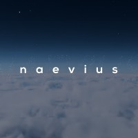 Naevius logo - Similar company to Aero Strike