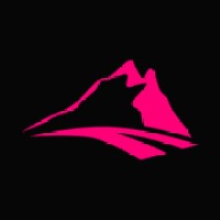 DigiSilta Oy logo - Similar company to Blanc Toimitilat