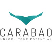 Carabao logo - Similar company to Memcon Solutions Ltd.